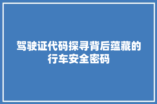 驾驶证代码探寻背后蕴藏的行车安全密码 百度SEO