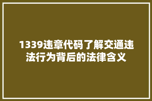 1339违章代码了解交通违法行为背后的法律含义 百度SEO