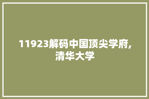 11923解码中国顶尖学府,清华大学 必应SEO