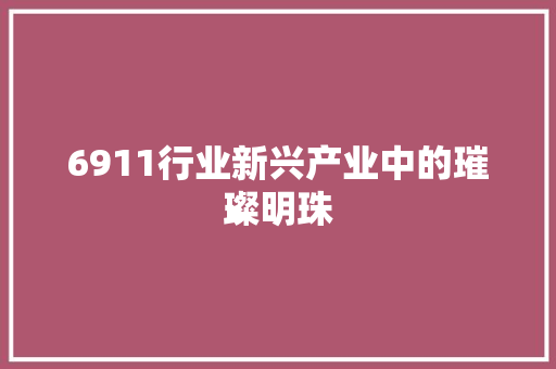 6911行业新兴产业中的璀璨明珠 必应SEO