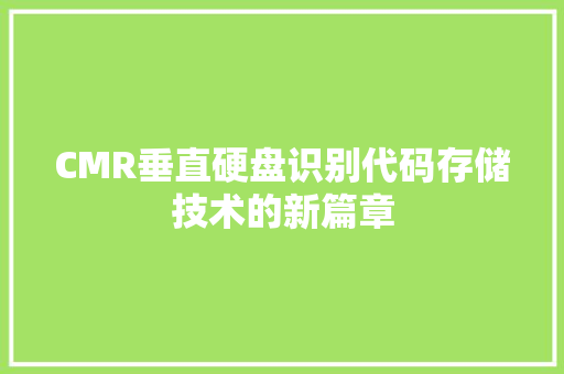 CMR垂直硬盘识别代码存储技术的新篇章 必应SEO