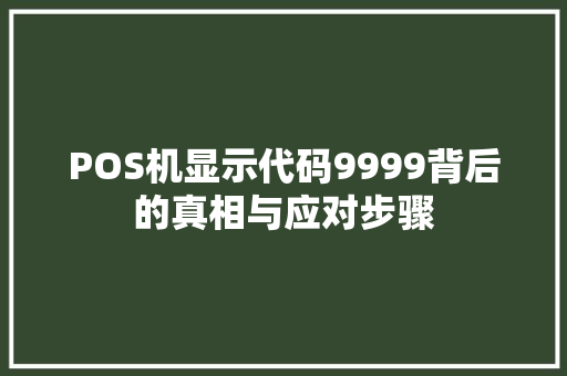 POS机显示代码9999背后的真相与应对步骤 SEO关键词
