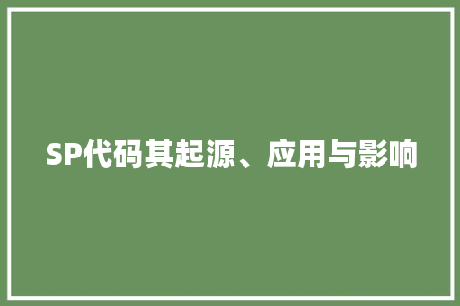 SP代码其起源、应用与影响 网站建设公司