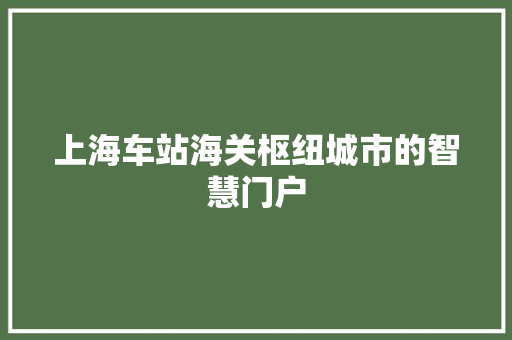 上海车站海关枢纽城市的智慧门户 SEO关键词