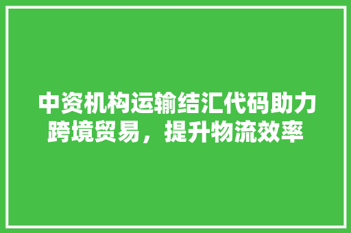 中资机构运输结汇代码助力跨境贸易，提升物流效率