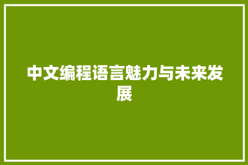 中文编程语言魅力与未来发展 必应SEO