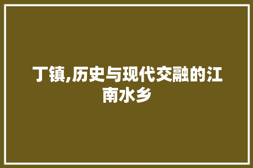 丁镇,历史与现代交融的江南水乡 必应SEO