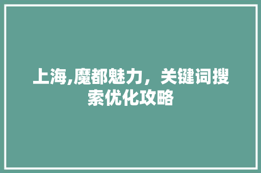 上海,魔都魅力，关键词搜索优化攻略 网站建设公司