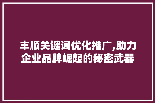 丰顺关键词优化推广,助力企业品牌崛起的秘密武器 神马SEO