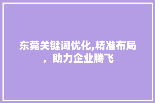 东莞关键词优化,精准布局，助力企业腾飞 必应SEO