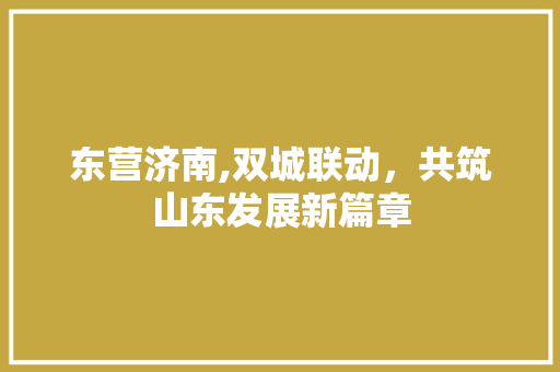 东营济南,双城联动，共筑山东发展新篇章 神马SEO