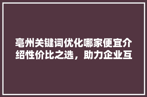亳州关键词优化哪家便宜介绍性价比之选，助力企业互联网腾飞 神马SEO
