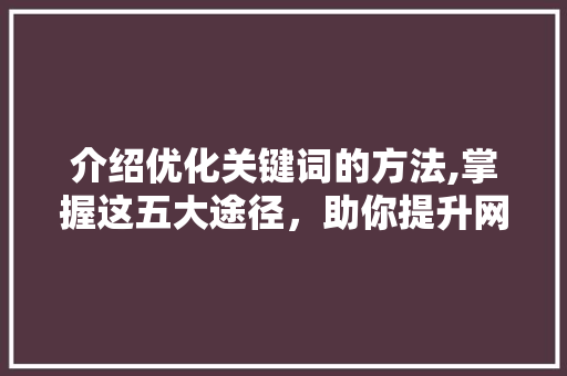 介绍优化关键词的方法,掌握这五大途径，助你提升网站排名 网站建设公司