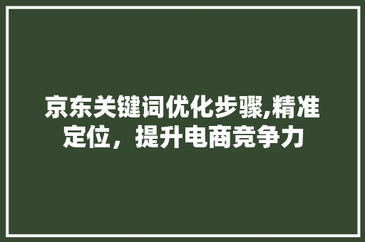 京东关键词优化步骤,精准定位，提升电商竞争力 百度SEO
