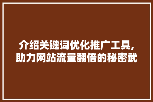 介绍关键词优化推广工具,助力网站流量翻倍的秘密武器 必应SEO