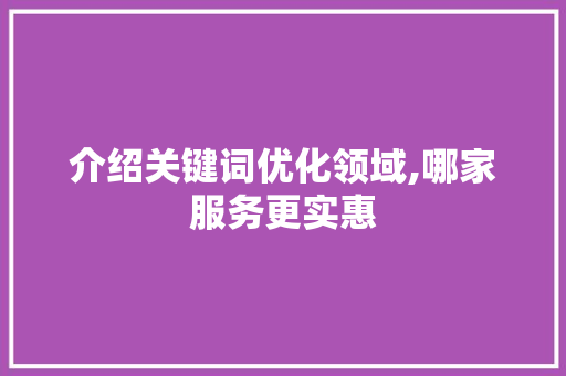 介绍关键词优化领域,哪家服务更实惠 百度SEO