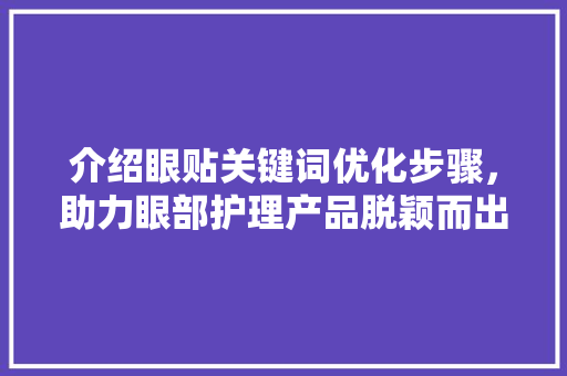 介绍眼贴关键词优化步骤，助力眼部护理产品脱颖而出 网站建设公司