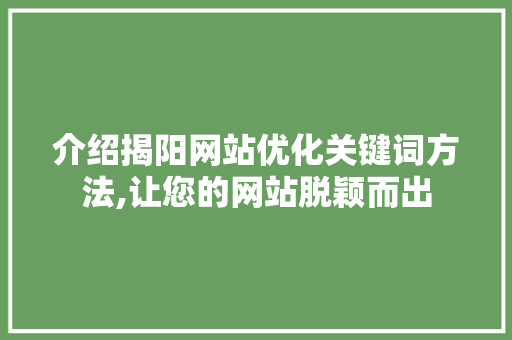 介绍揭阳网站优化关键词方法,让您的网站脱颖而出 网站建设公司