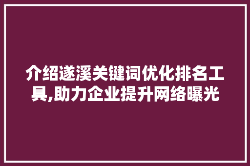 介绍遂溪关键词优化排名工具,助力企业提升网络曝光度 百度SEO