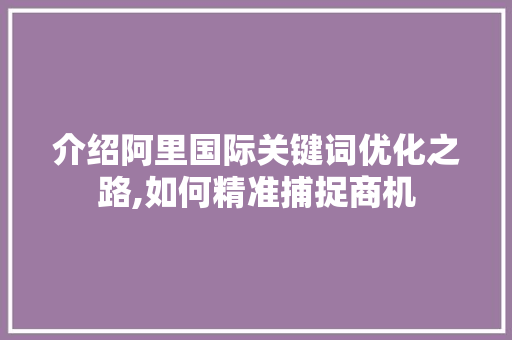 介绍阿里国际关键词优化之路,如何精准捕捉商机 百度SEO