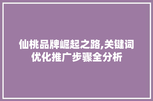 仙桃品牌崛起之路,关键词优化推广步骤全分析 百度SEO