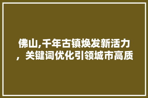 佛山,千年古镇焕发新活力，关键词优化引领城市高质量发展 神马SEO