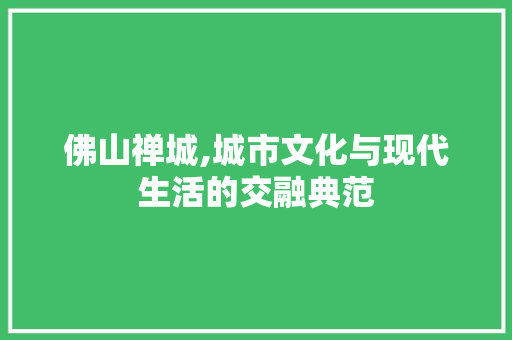 佛山禅城,城市文化与现代生活的交融典范 神马SEO