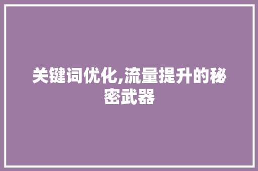 关键词优化,流量提升的秘密武器 百度SEO