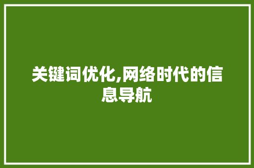 关键词优化,网络时代的信息导航