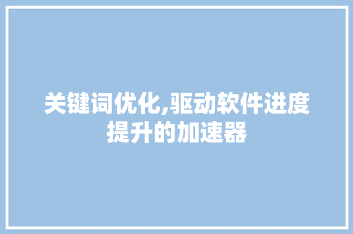 关键词优化,驱动软件进度提升的加速器