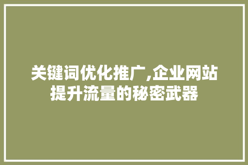 关键词优化推广,企业网站提升流量的秘密武器