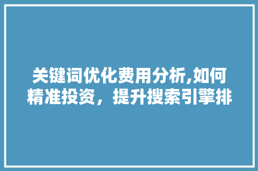 关键词优化费用分析,如何精准投资，提升搜索引擎排名 搜狗SEO