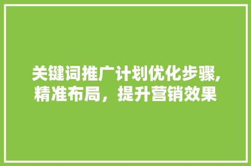 关键词推广计划优化步骤,精准布局，提升营销效果 搜狗SEO
