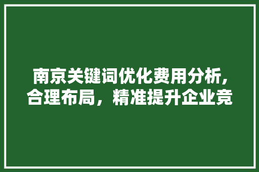 南京关键词优化费用分析,合理布局，精准提升企业竞争力 神马SEO
