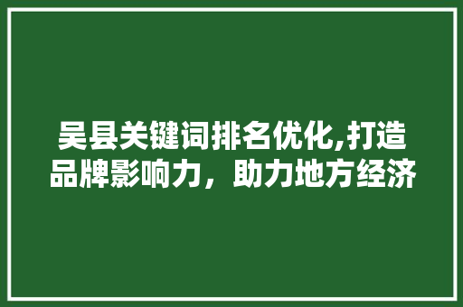 吴县关键词排名优化,打造品牌影响力，助力地方经济发展 网站建设公司