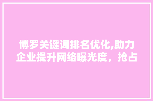 博罗关键词排名优化,助力企业提升网络曝光度，抢占市场先机 网站建设公司