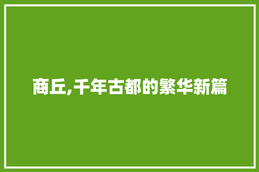 商丘,千年古都的繁华新篇 百度SEO
