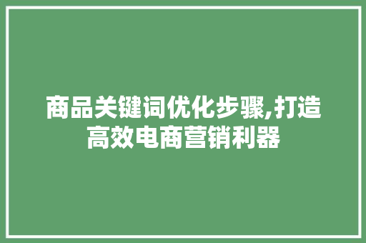 商品关键词优化步骤,打造高效电商营销利器 网站建设公司