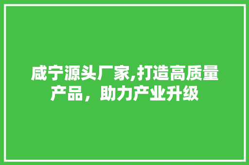 咸宁源头厂家,打造高质量产品，助力产业升级 神马SEO