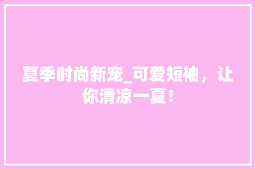夏季时尚新宠_可爱短袖，让你清凉一夏！ 搜狗SEO