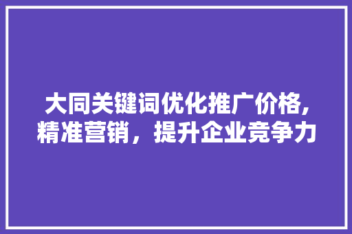 大同关键词优化推广价格,精准营销，提升企业竞争力 神马SEO