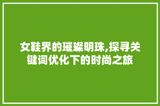 女鞋界的璀璨明珠,探寻关键词优化下的时尚之旅 网站建设公司