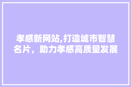 孝感新网站,打造城市智慧名片，助力孝感高质量发展 网站建设公司