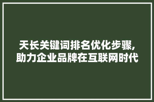 天长关键词排名优化步骤,助力企业品牌在互联网时代的崛起 神马SEO