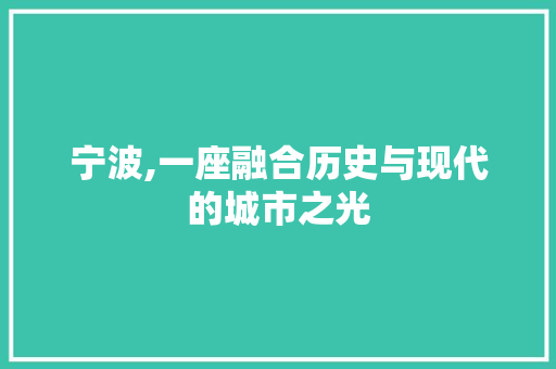 宁波,一座融合历史与现代的城市之光 百度SEO
