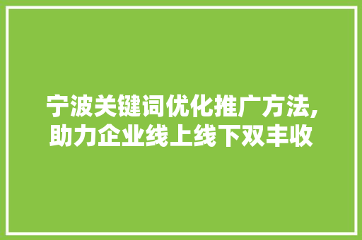 宁波关键词优化推广方法,助力企业线上线下双丰收 必应SEO