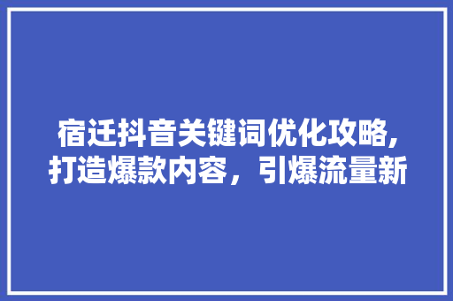 宿迁抖音关键词优化攻略,打造爆款内容，引爆流量新高峰 网站建设公司