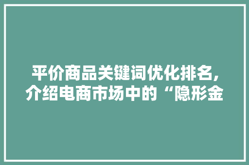平价商品关键词优化排名,介绍电商市场中的“隐形金矿”