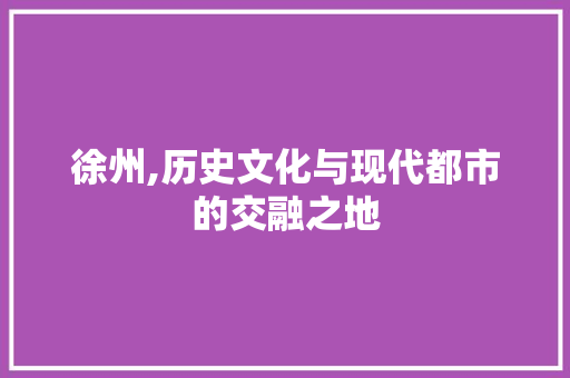 徐州,历史文化与现代都市的交融之地 必应SEO