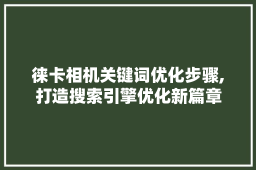 徕卡相机关键词优化步骤,打造搜索引擎优化新篇章 必应SEO